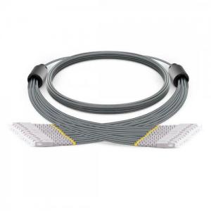 12 Strand SC UPC to SC UPC OM1/OM2 Multimode Armored Breakout Patch Cable