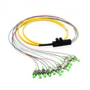 12F FC APC OS2 SM Ribbon Fanout 0.9mm FO Pigtail