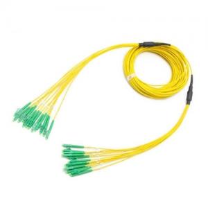 12F LC APC to LC APC OS2 SM 2.0mm Breakout Patch Cable
