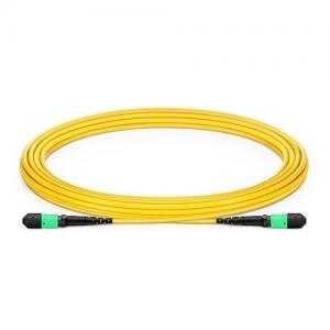 12F MTP/MPO to MTP/MPO 12 Strands OS2 SM Trunk Cable