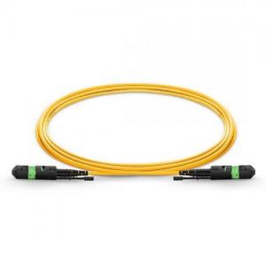 12F MTP/MPO to MTP/MPO OS2 SM Push-Pull HD Trunk Cable 