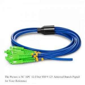 12F SC APC Singlemode Armored 3.0mm Bunch FO Pigtail