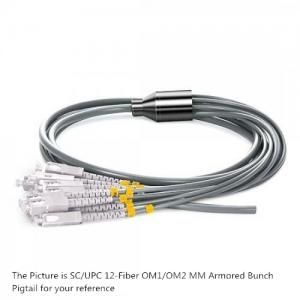 12F SC OM1/OM2 Multimode Armored 3.0mm Bunch FO Pigtail