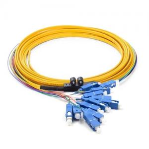 12F SC UPC OS2 SM Ribbon Fanout 0.9mm FO Pigtail