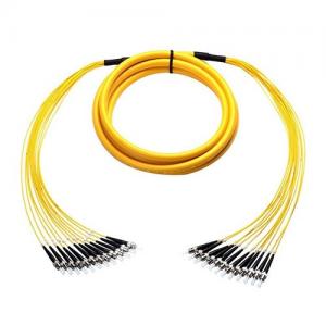 12F ST UPC to ST UPC OS2 SM 2.0mm Breakout Patch Cable