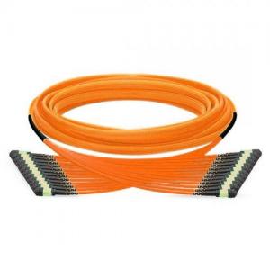 144F MTP/MPO to MTP/MPO 12 Strands OM1/2 MM Trunk Cable