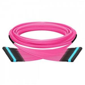 144F MTP/MPO to MTP/MPO 12 Strands OM4 MM Trunk Cable