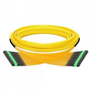 144F MTP/MPO to MTP/MPO 12 Strands OS2 SM Trunk Cable