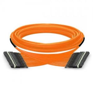 144F MTP/MPO to MTP/MPO OM1/OM2 MM Push-Pull HD Trunk Cable 
