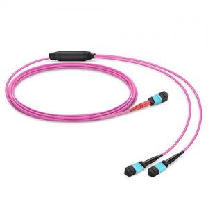 24 Strand MTP(Female) to 2x12 Strand MTP(Female) OM4 Multimode Conversion Cable