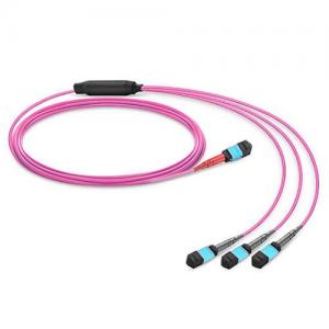 24 Strand MTP(Female) to 3x8 Strand MTP(Female) OM4 Multimode Conversion Cable