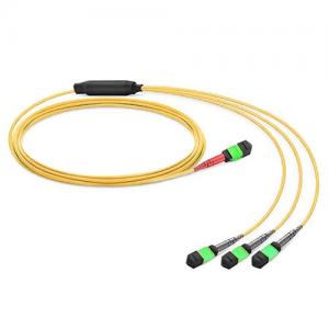 24 Strand MTP(Female) to 3x8 Strand MTP(Female) OS2 Singlemode Conversion Cable