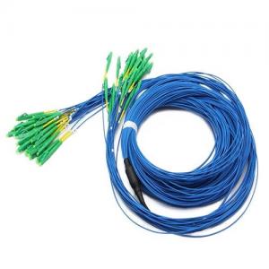 24F LC APC to LC APC OS2 SM Grade B1 2.0mm Breakout Patch Cable