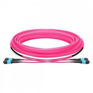24F MTP/MPO to MTP/MPO 12 Strands OM4 MM Trunk Cable
