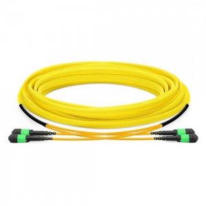 24F MTP/MPO to MTP/MPO 12 Strands OS2 SM Trunk Cable