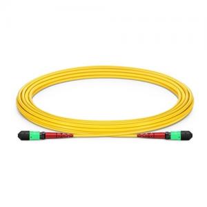 24F MTP/MPO to MTP/MPO 24 Strands OS2 SM HD Trunk Cable