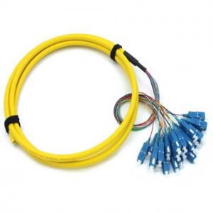 24F SC UPC SM/MM Bunch FO Pigtal