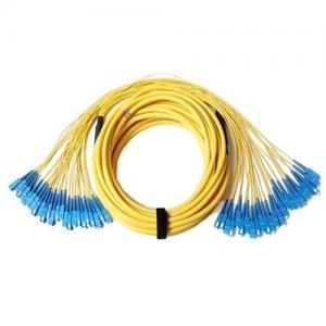 24F SC UPC to SC UPC OS2 SM 2.0mm Breakout Patch Cord