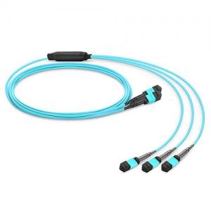 2x12 Strand MTP(Female) to 3x8 Strand MTP(Female) OM3 Multimode Conversion Cable