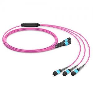 2x12 Strand MTP(Female) to 3x8 Strand MTP(Female) OM4 Multimode Conversion Cable