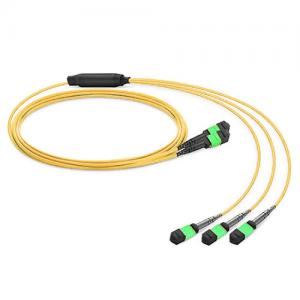 2x12 Strand MTP(Female) to 3x8 Strand MTP(Female) OS2 Singlemode Conversion Cable