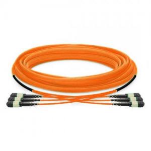 36F MTP/MPO to MTP/MPO 12 Strands OM1/2 MM Trunk Cable