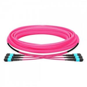 36F MTP/MPO to MTP/MPO 12 Strands OM4 MM Trunk Cable