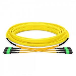 36F MTP/MPO to MTP/MPO 12 Strands OS2 SM Trunk Cable