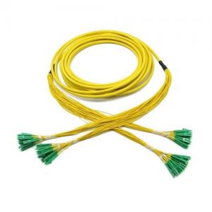 48F LC APC to LC APC OS2 SM 2.0mm Breakout Patch Cable