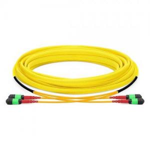 48F MTP/MPO to MTP/MPO 24 Strands OS2 SM HD Trunk Cable