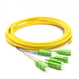 6F SC APC OS2 SM Bunch FO Pigtail