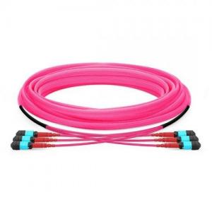72F MTP/MPO to MTP/MPO 24 Strands OM4 MM HD Trunk Cable