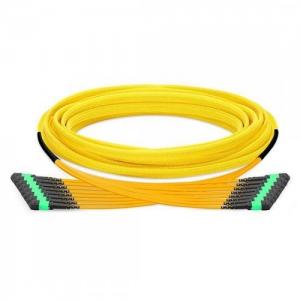 96F MTP/MPO to MTP/MPO 12 Strands OS2 SM Trunk Cable