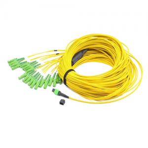 MTP/MPO to E2000 APC OS2 SM 2.0mm Fanout Cable